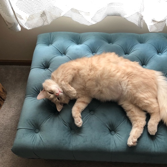 Meet your Posher, Kim - Picture 9 of 15